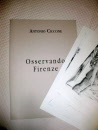 osservando cart